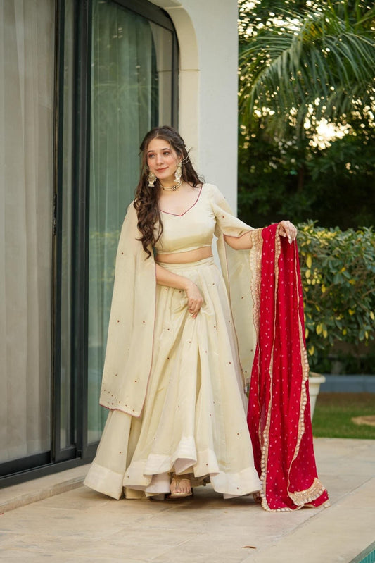 PURE COSMOS LEHENGA CHOLI SET
